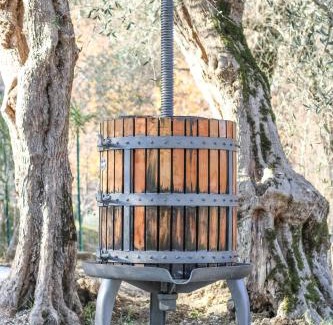 Caposele Apartment | Casa Elisabetta ShortLets