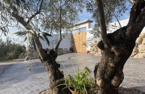 Villanueva de la Concepcion House | Casa Rubito el Olmo