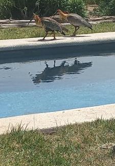 Santo Domingo House | Casa Familiar Santo Domingo