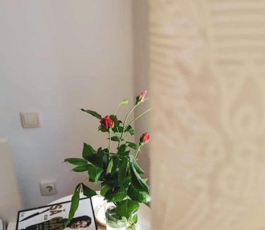 Tirgu Jiu House | Casa File de Poveste