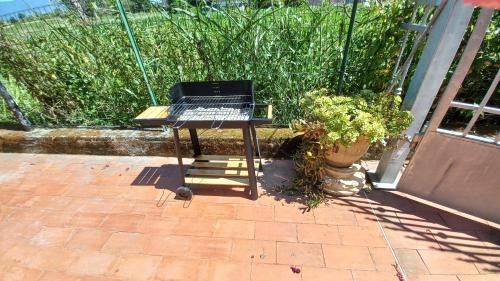 Ameglia Apartment | Casa Fiorita