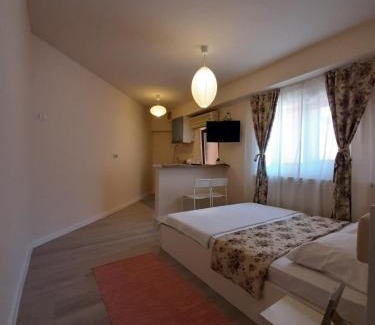 Craiova House | Casa Flamingo