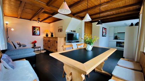 Flums Apartment | Casa Fluretta