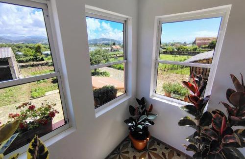 Tabagon House | Casa Folhas Novas