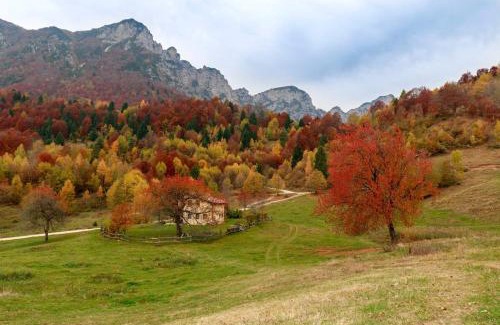 Valdagno House | Casa Gildo 1828