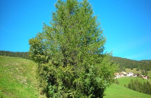 Mareo Apartment | Casa Gogn