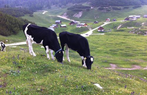 Mareo Apartment | Casa Gogn