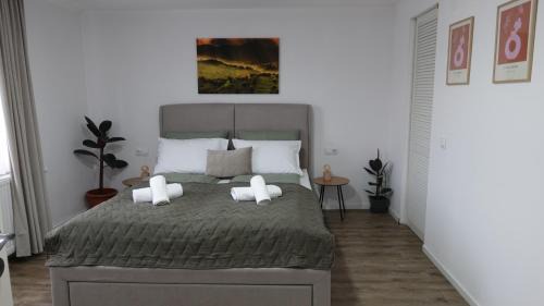 Ocna Sibiului Apartment | Casa Gruia