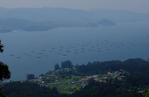 Chancelas Apartment | Casa Hortiñas