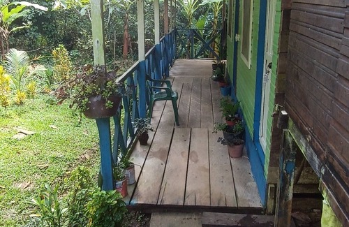 Puerto Narino Apartment | Casa Hotel Rodeadas de la Naturaleza y Voses Silvestre, Amaneces con Aves , 🙉