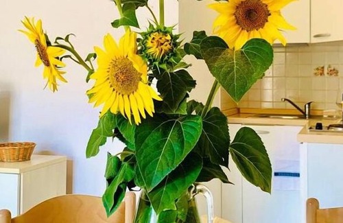 Scarlino Apartment | Casa in Maremma Tuscany Village