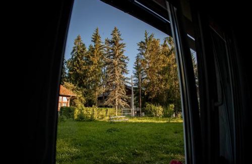 Jibert House | Casa Izvoru Mureșului