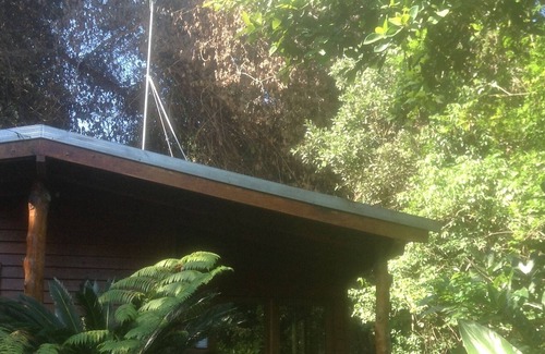 Kuranda Apartment | Casa Kuranda in the rainforest