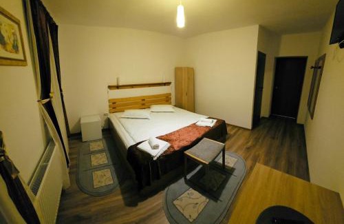 Seica Mare House | Casa LA SAAL - Seica Mare Sibiu