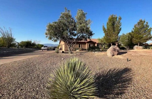 New Tucson House | Casa las Cachoras