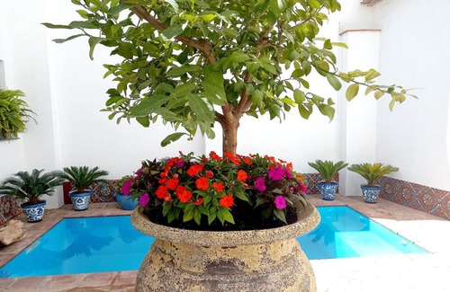 El Valle House | Casa Las Mandalas Saleres