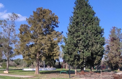 El Ligallo del Ganguil Apartment | Casa Laurel