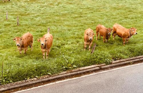 Las Herrerias Hotel | Casa Lixa Hotel Rural Albergue