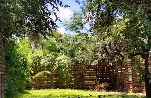 Ciudad Fernandez House | casa mango