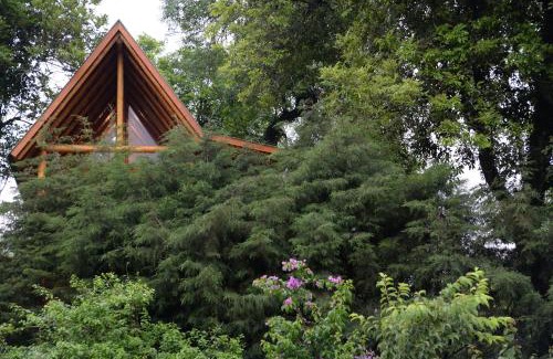 Joao Alves House | Casa na Árvore