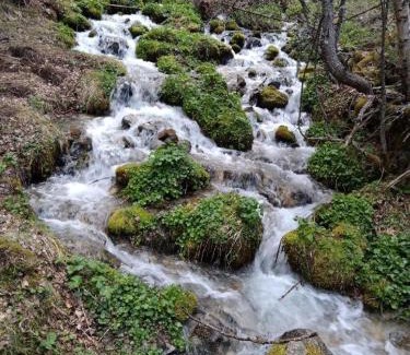Esterri D'Aneu House | Casa Nando