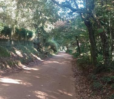 Vila Natal Ski Chalet | Casa no Bosque Vila Natal