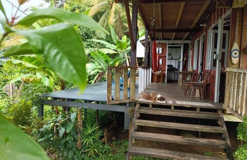 Choco Hotel | Casa Origen