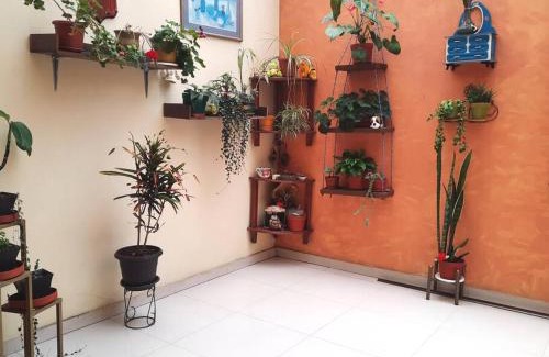 El Vecino Apartment | Casa parque de la Luz