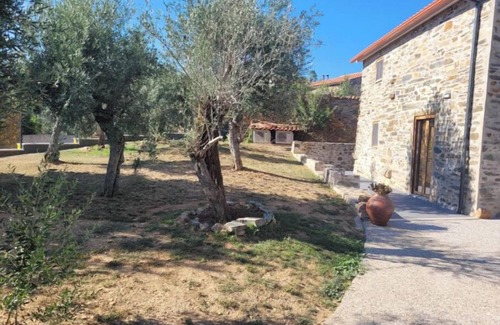 Proenca-a-Nova House | Casa Picau