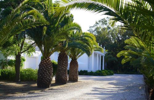 Penina Villa | Casa Rã - Architect Edition