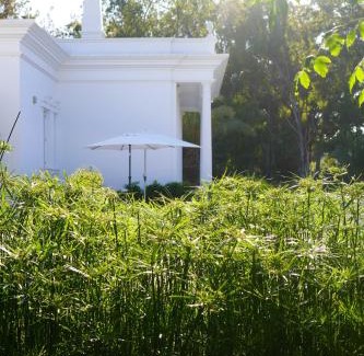 Penina Villa | Casa Rã - Architect Edition