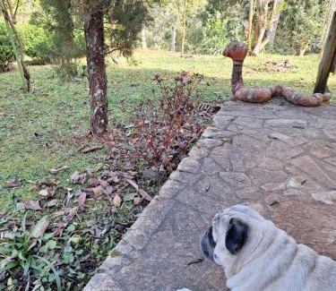 Palmital House | Casa Refúgio da floresta na Serra