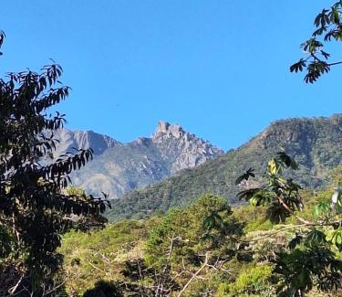 Palmital House | Casa Refúgio da floresta na Serra