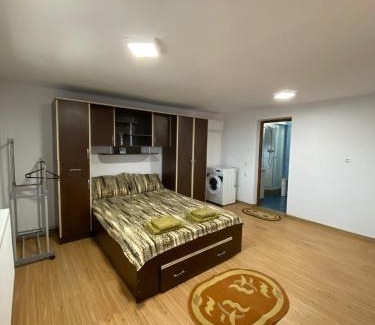 Daesti Apartment | Casa Rizea