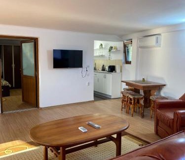 Daesti Apartment | Casa Rizea