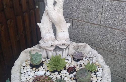 Vilanova House | Casa Romero in Vilanova