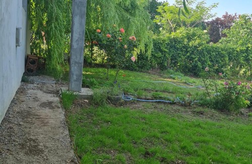 Arsa House | CASA ROSE