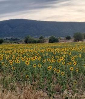 Buendia Bed & Breakfast | Casa Rural Altozano de Buendia