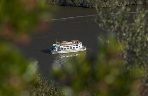 Carbajo House | Casa Rural Baldio Grande