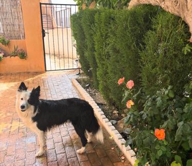 Yeste Apartment | Casa Rural con encanto Señorio Manchego ALBACETE