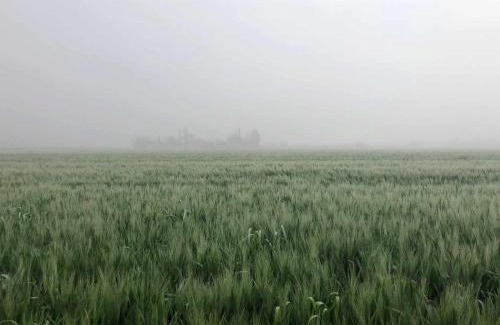 Cordoba House | Casa Rural "El Olivo de Córdoba" Luxury jacuzzi y parking privado