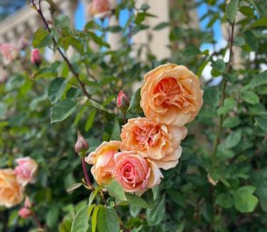 Montefrio House | casa rural Hachuelo