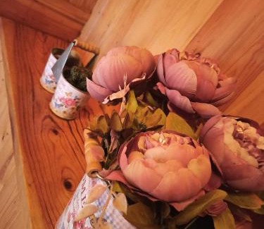 Cangas de Onis Ski Chalet | Casa Rural La Cabaña