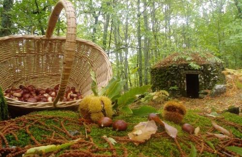 Montanchez House | CASA RURAL MARGARITA I