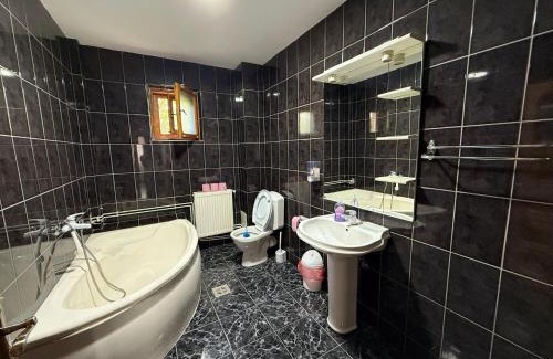 Pitesti House | Casa Stefan