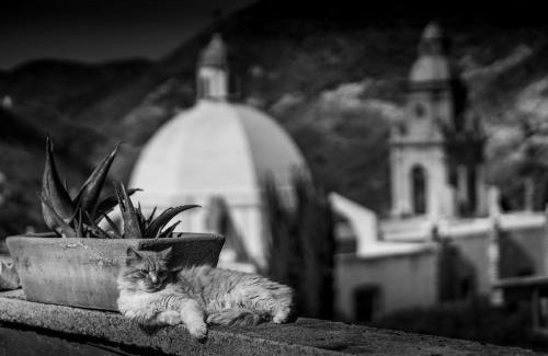 Real de Catorce Cabin | Casa Sulahue