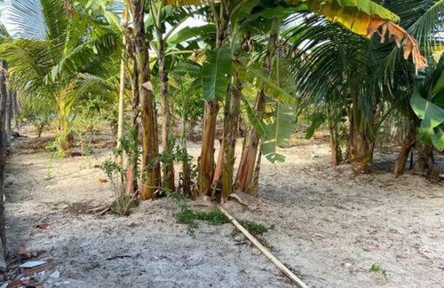 Beberibe House | casa temporada praia