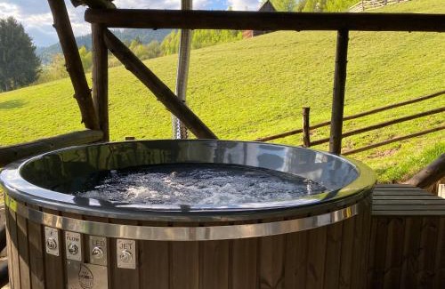 Albac Cabin | Casa Teodora