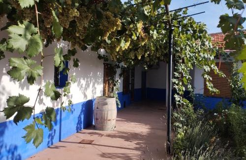 Arenales de San Gregorio House | Casa (tipo) RURAL MANCHEGA