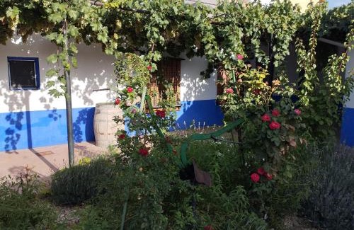 Arenales de San Gregorio House | Casa (tipo) RURAL MANCHEGA